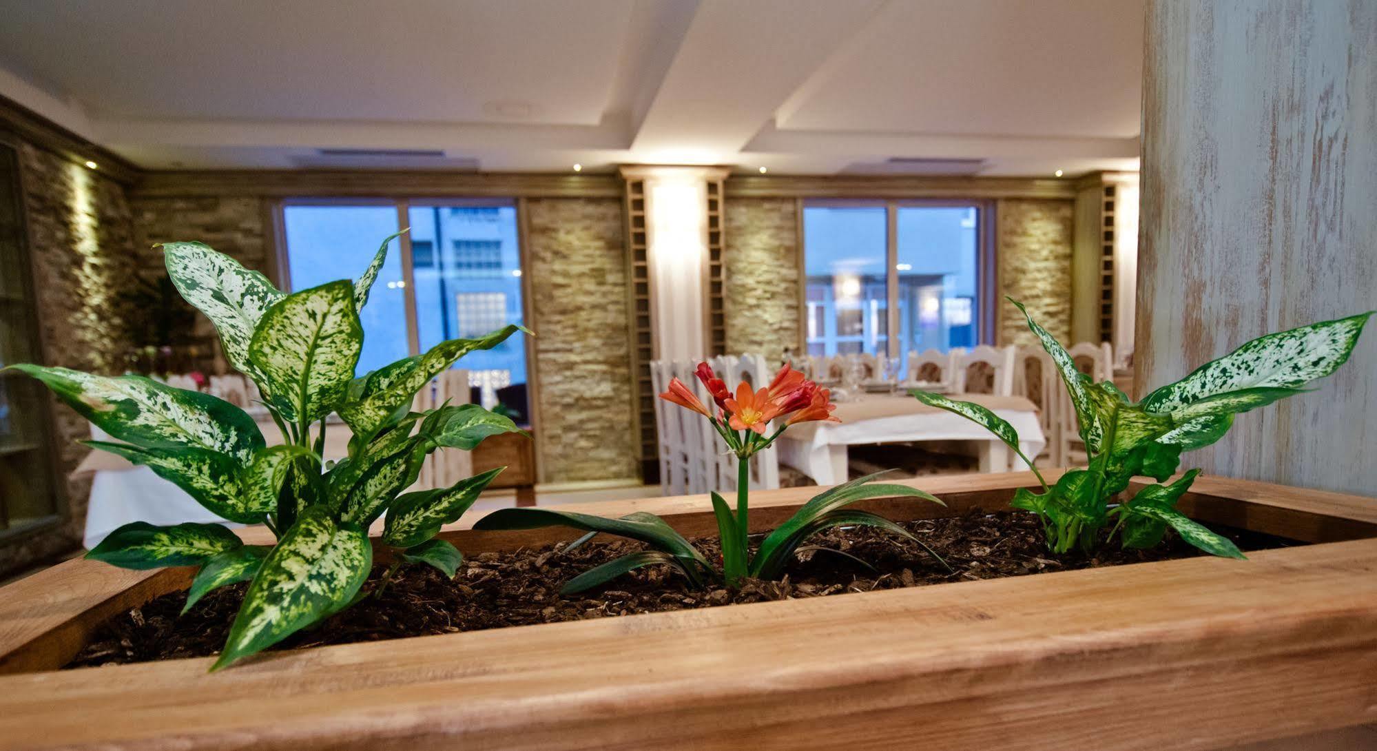 Wine Hotel Cesarica Medjugorje Luaran gambar
